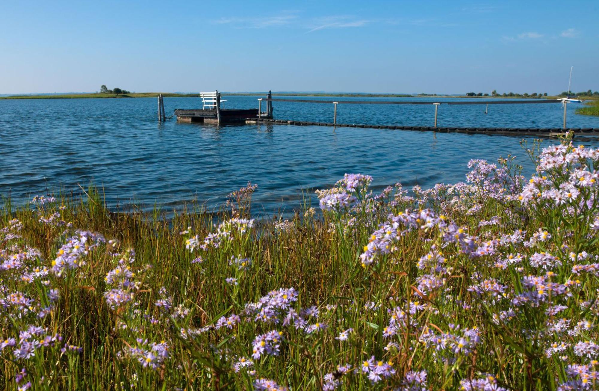 Residenz Am Yachthafen Strandaster Kirchdorf  Bagian luar foto