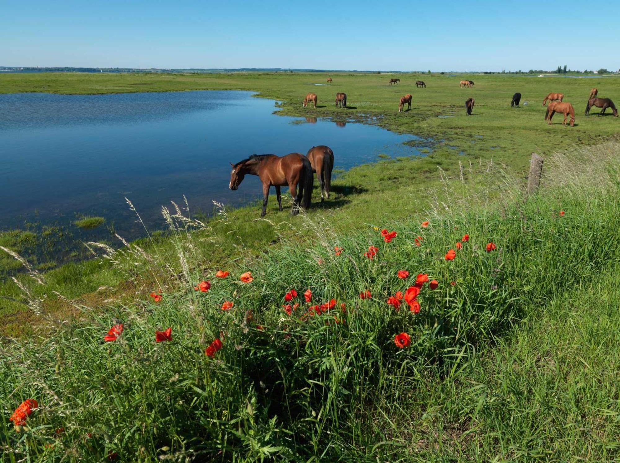 Residenz Am Yachthafen Strandaster Kirchdorf  Bagian luar foto